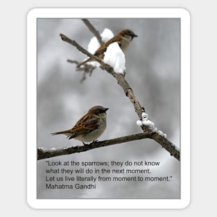 Mahatma Gandhi's quote about sparrows Sticker